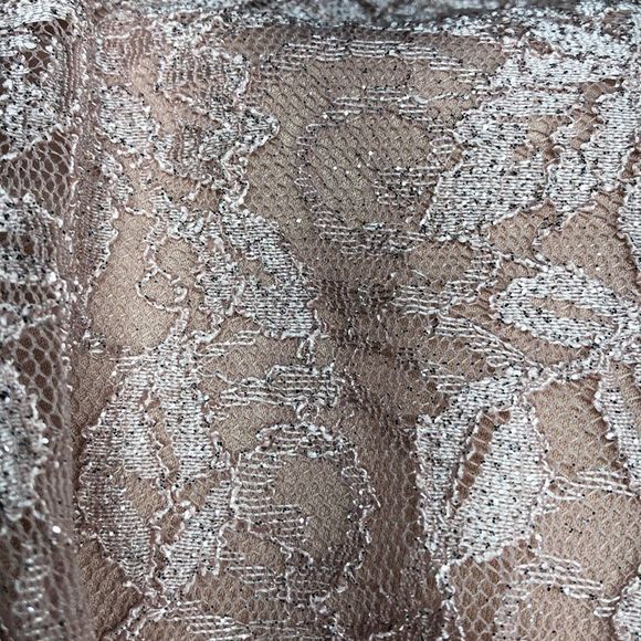 Blush Pink Lace Dress with Rhinestone Waist Dress - Picture 5 of 8